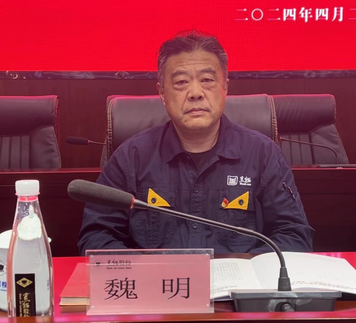 4 黑貓股份黨委副書記、董事長魏明出席會議.jpg